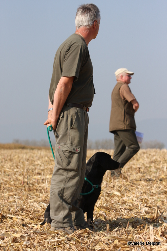 Field Erstein 09 (133).JPG